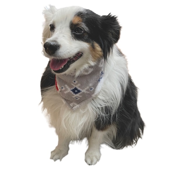 Family PJ Other - Family Matching Polar Bear Pet Bandana NWT!